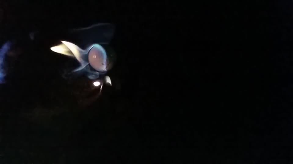 Filmszene aus dem Nachtgolf-Video Burning Ball